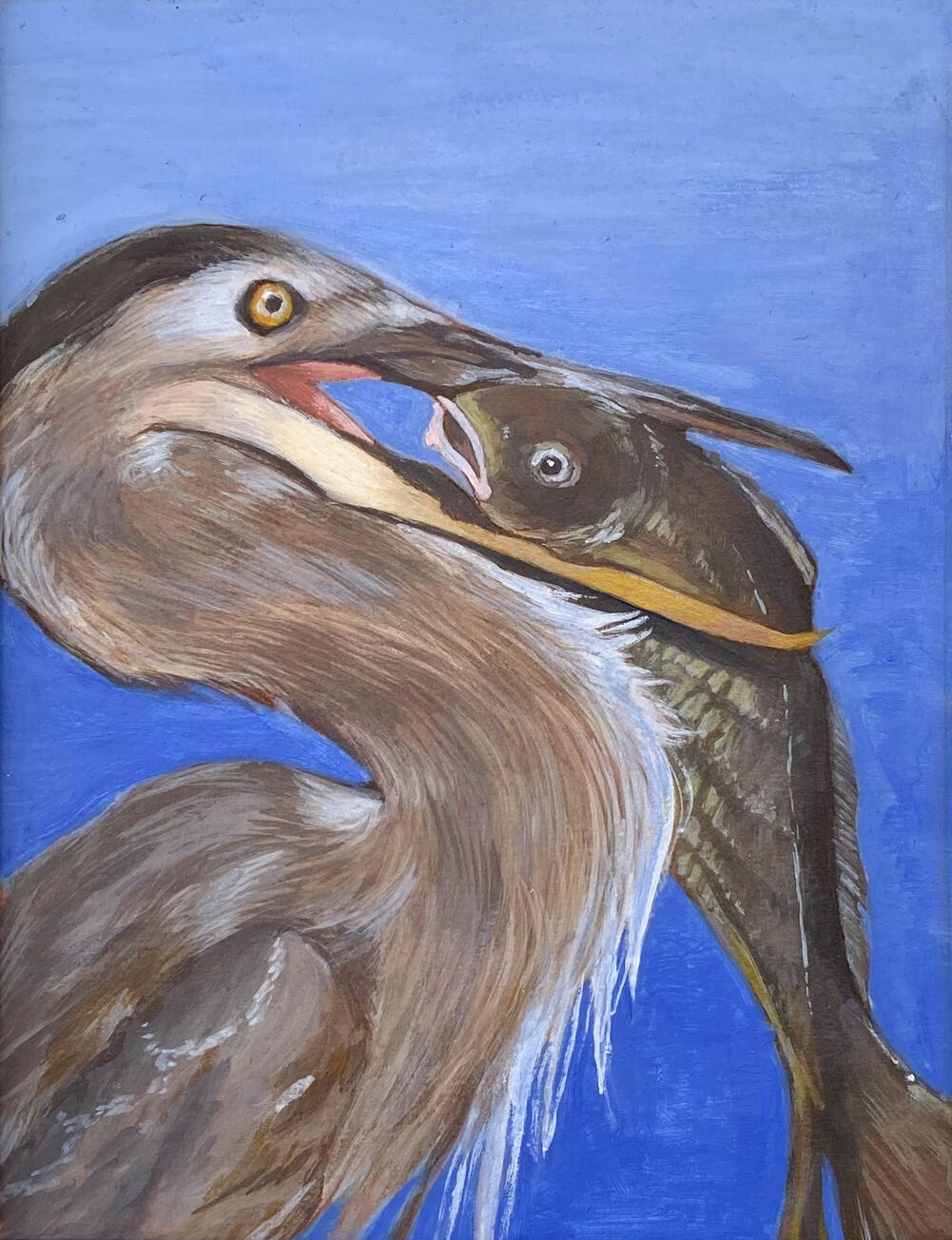 Great Blue Heron and Yellow Fin Croaker in Acrylic Paint (reference: @wingsinmotion) Great Blue Heron and Yellow Fin Croaker in Acrylic Paint (reference: @wingsinmotion)